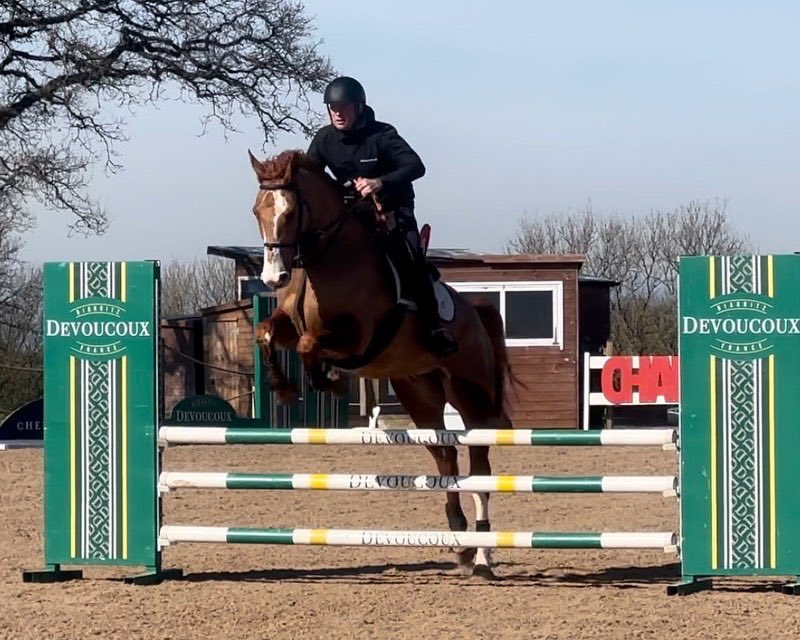 HQ Equestrian (@hqequestrian) on Twitter photo Another great educational day out at <a href="/ChardEquestrian/">Chard Equestrian</a> for sales livery Scooby (16.1 7yo). He has so much scope and power he’s a very exciting prospect for someone!
Thank you to Mandy Frost for another great training session
<a href="/mjquinlan84/">Mark @ HQ Equestrian</a> Another great educational day out at <a href="/ChardEquestrian/">Chard Equestrian</a> for sales livery Scooby (16.1 7yo). He has so much scope and power he’s a very exciting prospect for someone!
Thank you to Mandy Frost for another great training session
<a href="/mjquinlan84/">Mark @ HQ Equestrian</a>