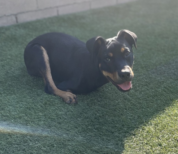 Off the Clock tweet media