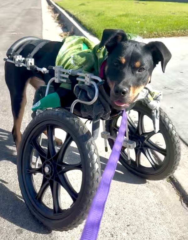 Off the Clock tweet media