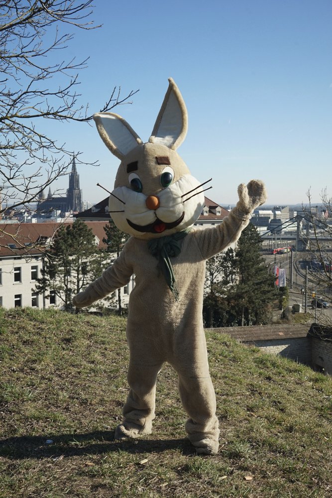 WildEmotionUlm's tweet photo. Entdecke unsere Vielfalt an hochwertigen und professionellen Kostümen sowie fleißigen Maskottchen-Trägerinnen und Träger
Fragen?
Wir sind für dich da ! https://t.co/m1ohSH5HqQ