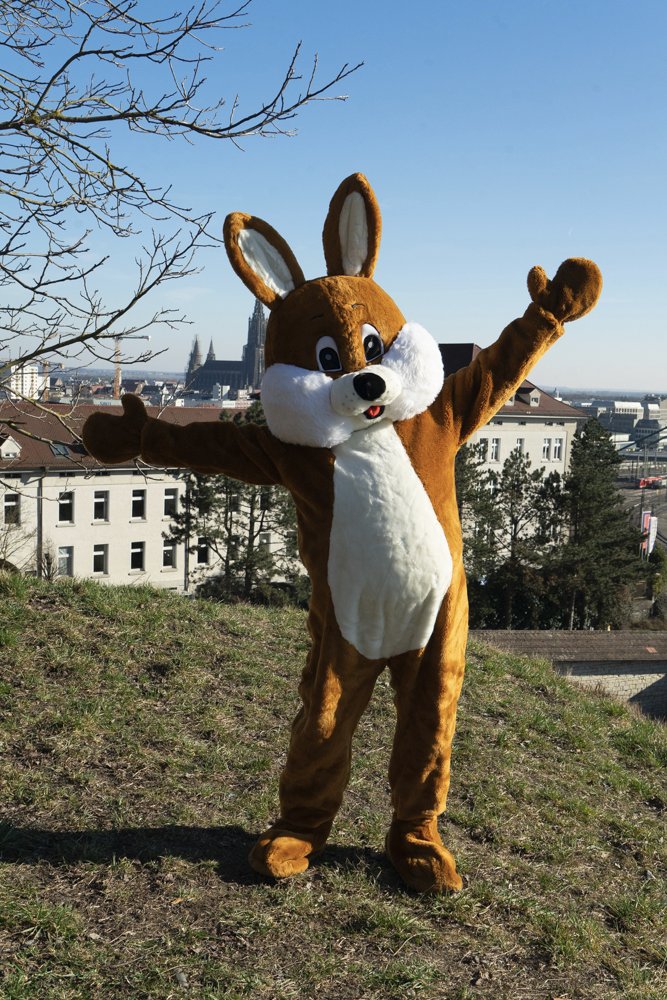WildEmotionUlm's tweet photo. Entdecke unsere Vielfalt an hochwertigen und professionellen Kostümen sowie fleißigen Maskottchen-Trägerinnen und Träger
Fragen?
Wir sind für dich da ! https://t.co/m1ohSH5HqQ