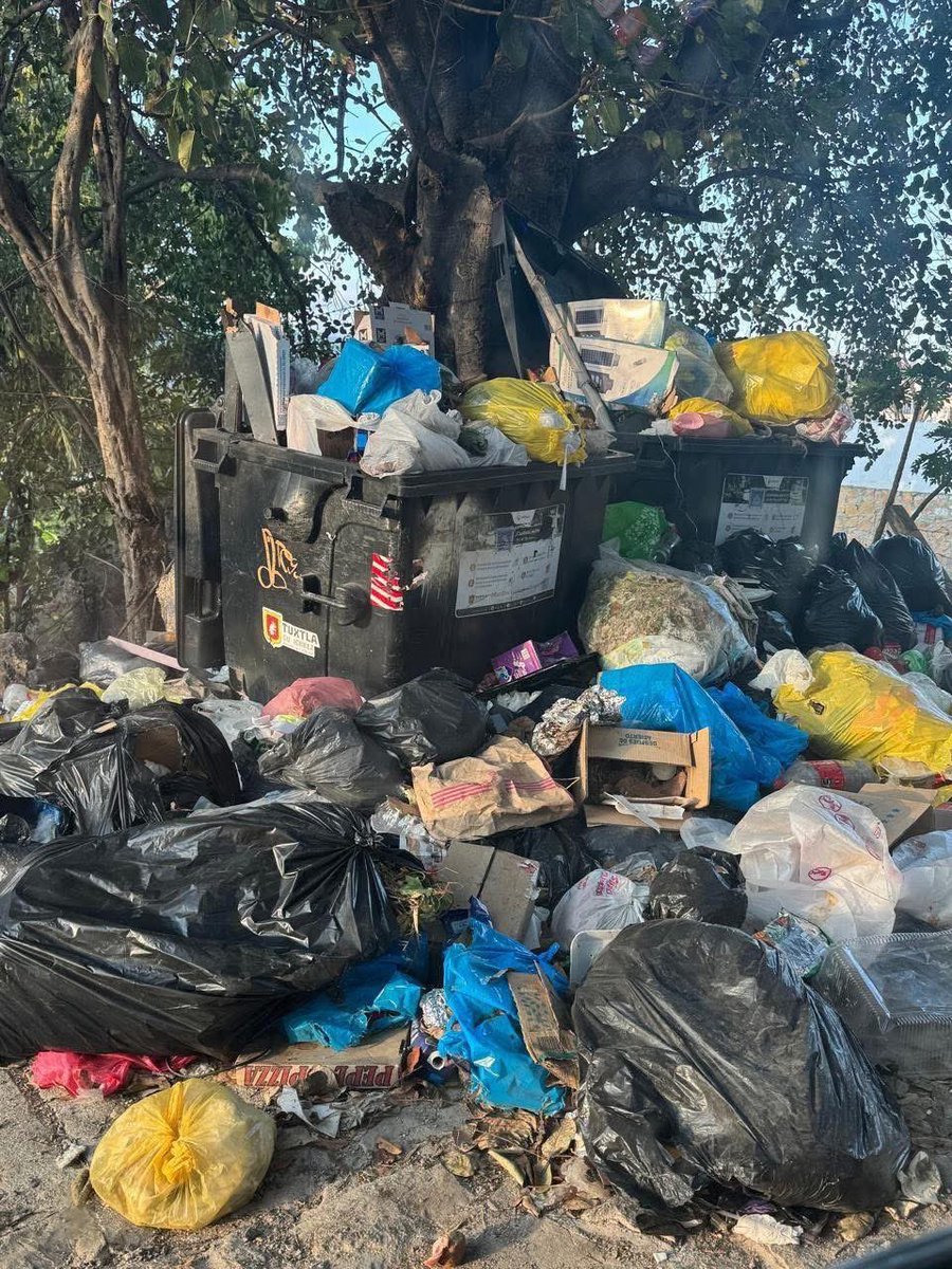 Es común en el ejercicio del poder que los nuevos gobernantes siembren árboles donde ya crecían otros.

No soportan ni reconocen los que crecían por el simple hecho que los sembraron otros

Así pasa en #Tuxtla. No sólo es saquear las arcas, es también fastidiar lo que funcionaba.