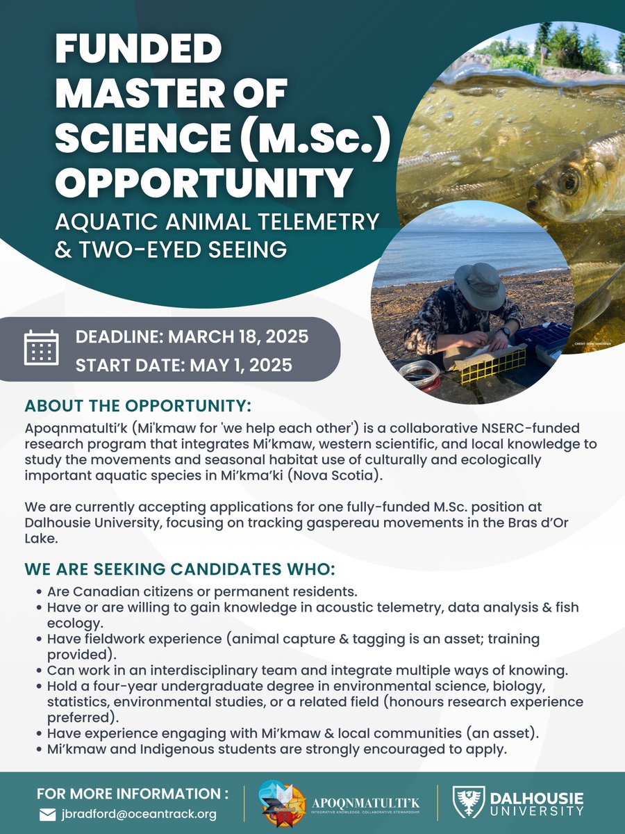 Ocean Tracking Network (@oceantracking) on Twitter photo 🌊 Fully-funded graduate opportunity! Join Apoqnmatulti'k (Mi'kmaw for "we help each other") to study gaspereau movements in the Bras d’Or Lake through <a href="/DalhousieU/">Dalhousie University</a>. Work with Mi’kmaw, local, & western scientific knowledge systems. apoqnmatultik.ca/new-blog/msc-o… 🌊 Fully-funded graduate opportunity! Join Apoqnmatulti'k (Mi'kmaw for "we help each other") to study gaspereau movements in the Bras d’Or Lake through <a href="/DalhousieU/">Dalhousie University</a>. Work with Mi’kmaw, local, & western scientific knowledge systems. apoqnmatultik.ca/new-blog/msc-o…