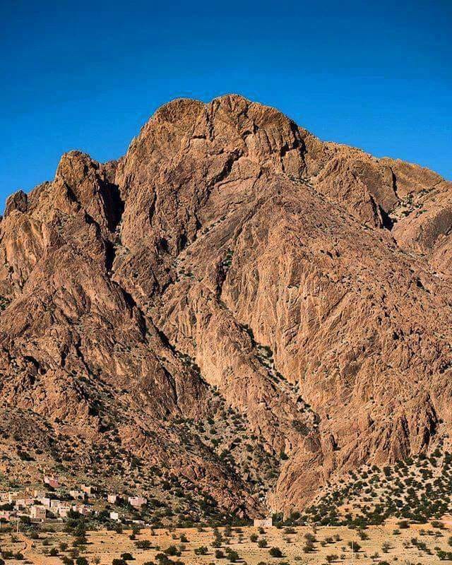 Abdel 🐝 🦋🦊 🐾 tweet media