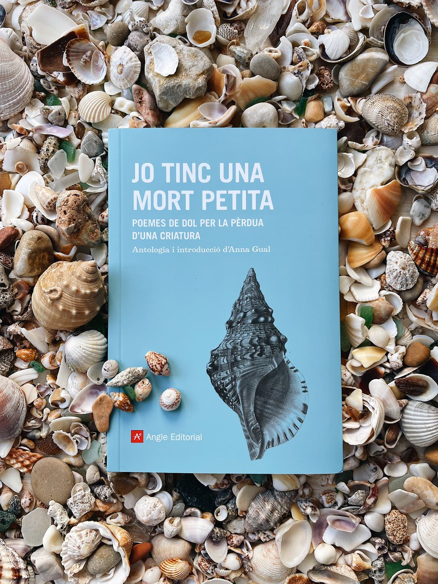 annagual's tweet photo. Després de dos anys de feina, l'emoció de presentar-vos l'antologia "Jo tinc una mort petita". 51 poetes de tots els Països Catalans amb poemes escrits entre el 1931 i el 2025 amb un element comú: la pèrdua d’un ésser petit 🕊️💔
A l'admirada @angleeditorial https://t.co/zIFNr6pRod