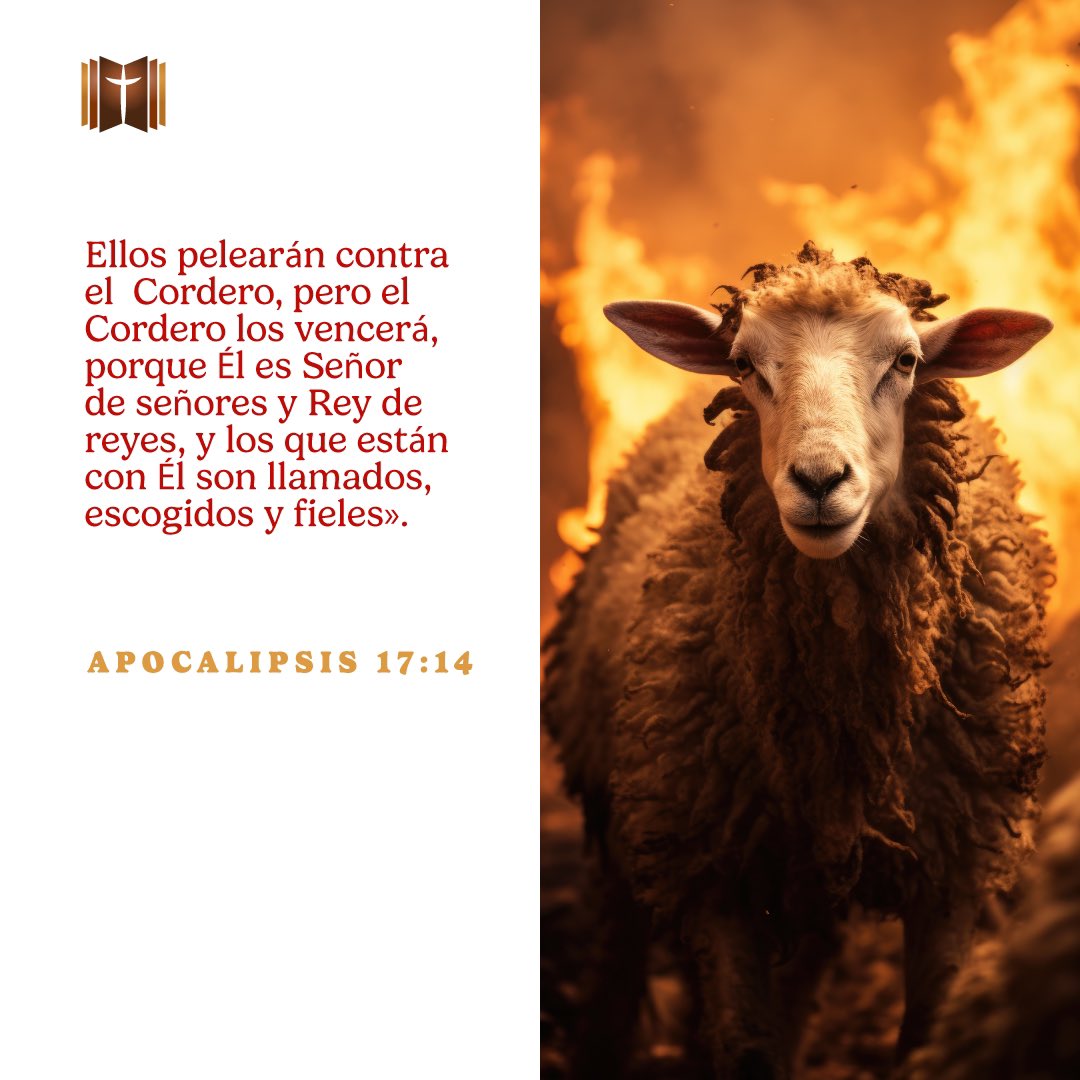 GSGorg's tweet photo. ⛅ Versículo del día: «Ellos pelearán contra el Cordero, pero el Cordero los vencerá, porque Él es Señor de señores y Rey de reyes, y los que están con Él son llamados, escogidos y fieles».
— Apocalipsis 17:14 https://t.co/ihZm02fXOo
