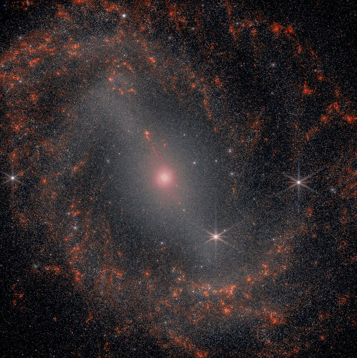 Jwst Feed tweet media