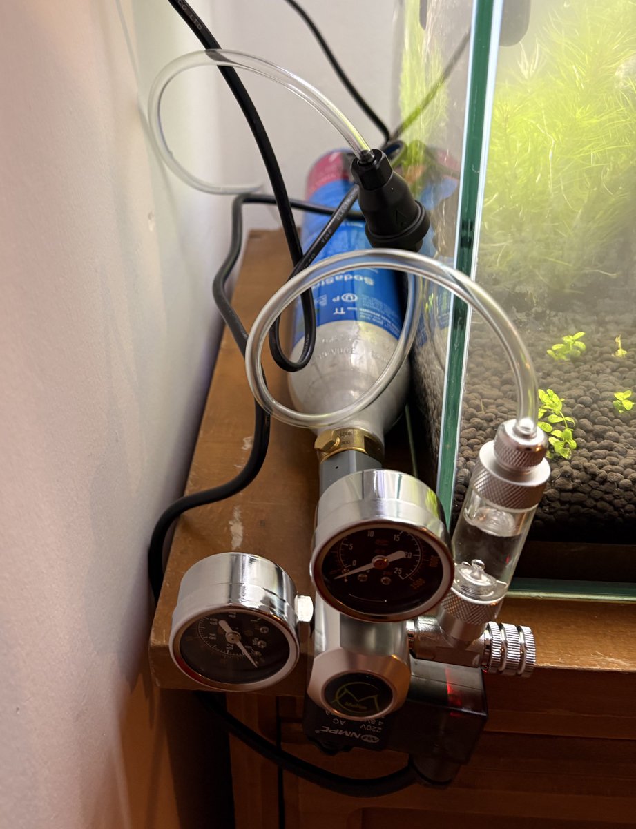 היום סוף סוף הגיעו כל החלקים למערכת CO2! בהצלחה לכל הצמחים ולפוטוסינתזה