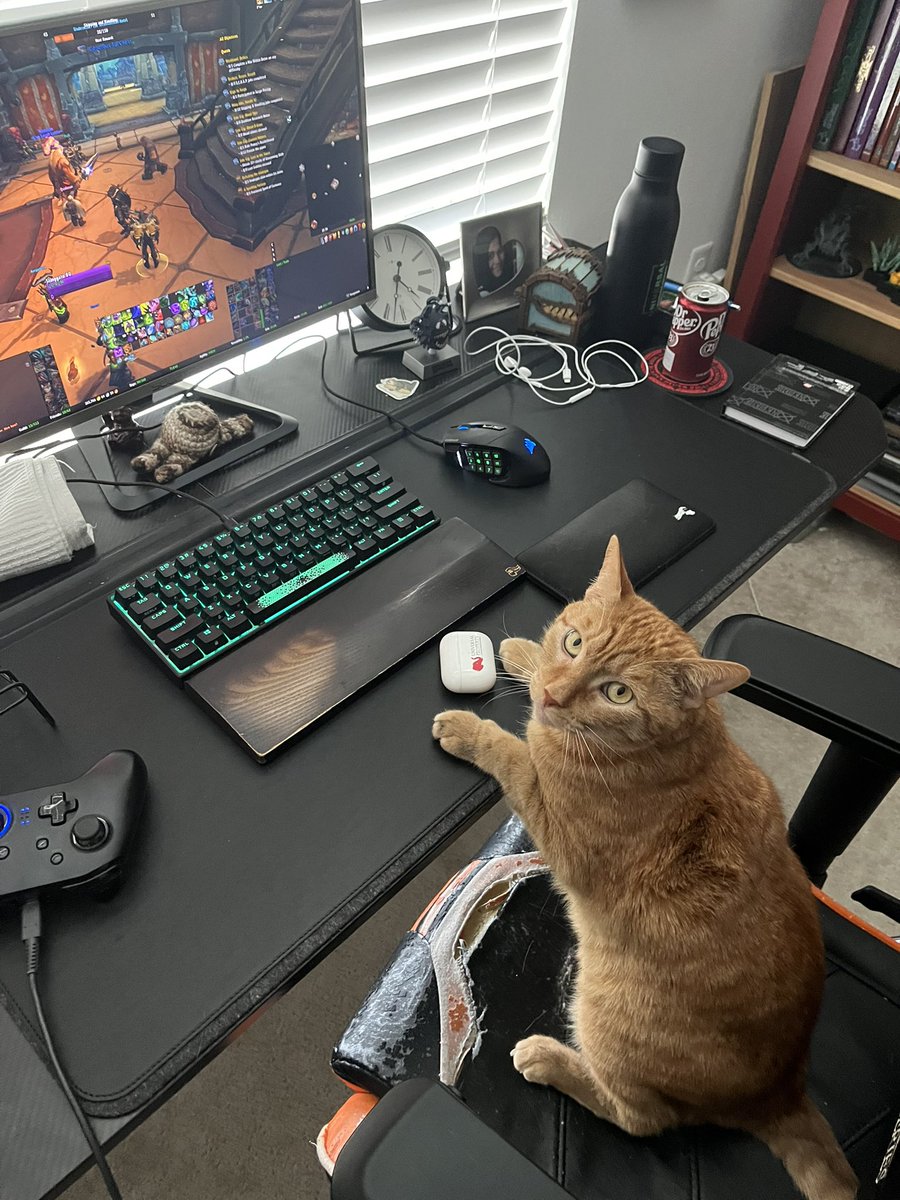 FitzSting's tweet photo. Sunny is taking my spot. https://t.co/0eo6B6TLFf