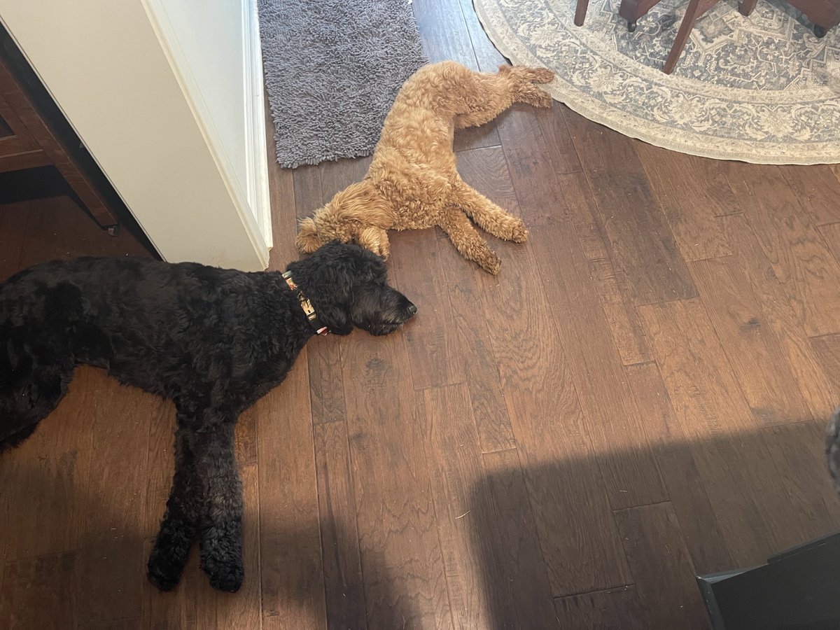 Chip Towers Writes (@ctowersajc) on Twitter photo Georgia & Honey on edge listening to <a href="/BaseballUGA/">Georgia Baseball</a> on 960 The Ref with <a href="/jeffdantzlertv/">Jeff Dantzler</a> and <a href="/djohnstonuga/">David Johnston</a> Georgia & Honey on edge listening to <a href="/BaseballUGA/">Georgia Baseball</a> on 960 The Ref with <a href="/jeffdantzlertv/">Jeff Dantzler</a> and <a href="/djohnstonuga/">David Johnston</a>