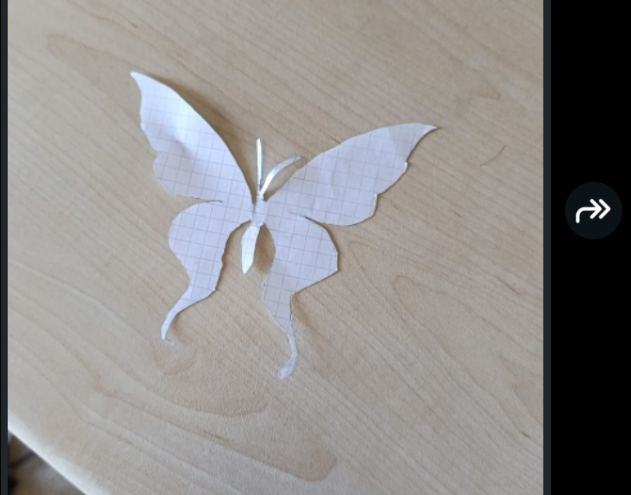 melegim bana kelebek yapmıs🥹