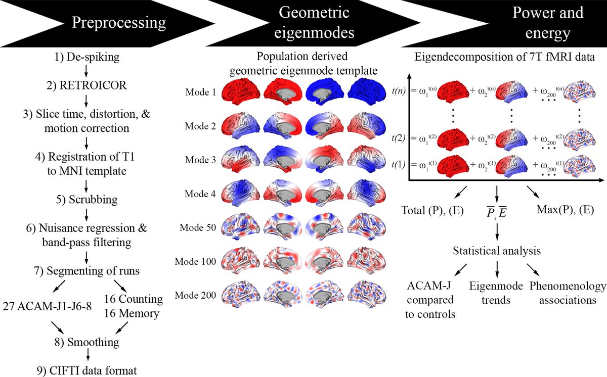 MatthewSacchet's tweet image. Announcing our new study of dynamics of natural brain modes and relations to phenomenology during jhana advanced meditation
Delighted to share our new paper in Cerebral Cortex entitled:
“Investigating the complex cortical dynamics of an advanced concentrative absorption…