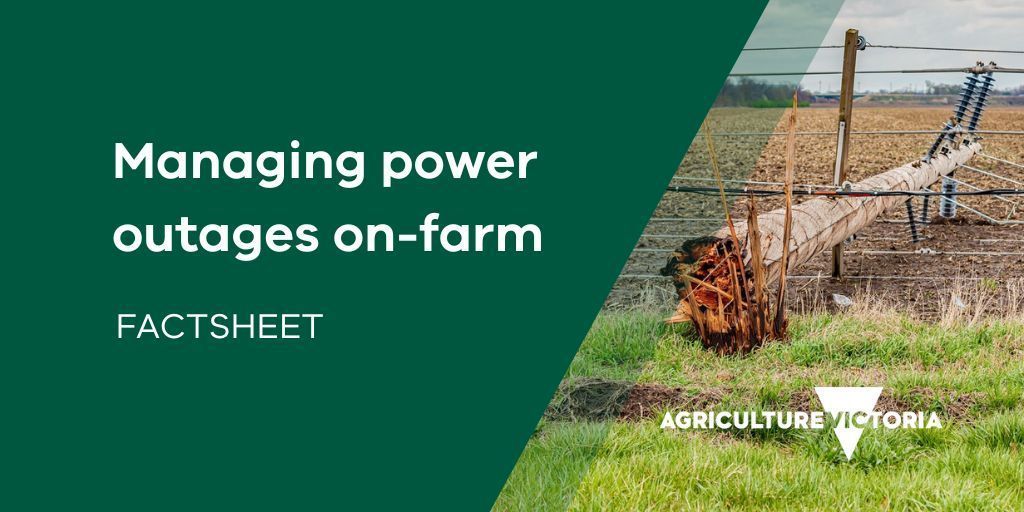 Power outages can disrupt critical farm infrastructure like livestock water systems, electric fences, and irrigation, leading to economic losses and affecting animal welfare. This factsheet helps farmers prepare for and manage power outages on their farms. buff.ly/3pN3d8l