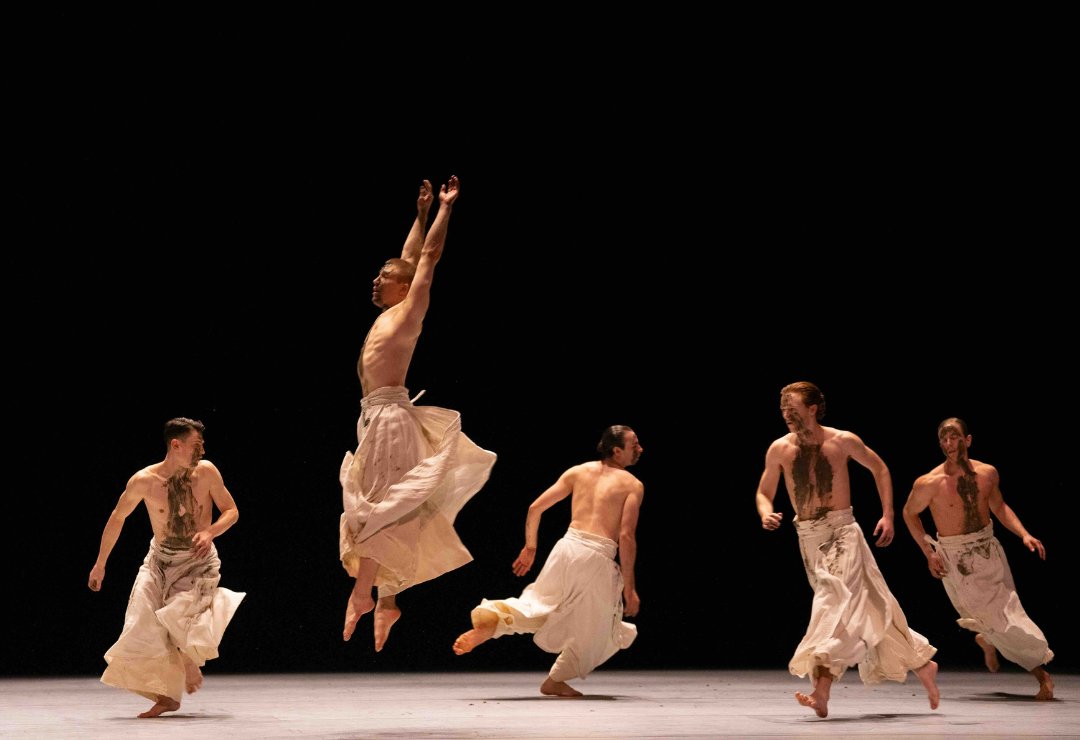 HubbardStreet's tweet photo. “Breathtaking, thought-provoking, entertaining, and strikingly beautiful.” ✨
📷 by Michelle Reid https://t.co/6HhpGz8F43