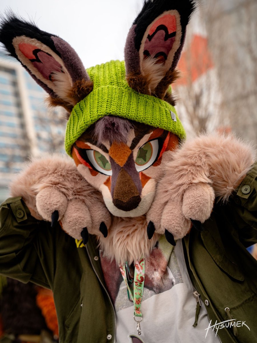 southwesthare's tweet image. Howdy! I'm Southwest, local black-tailed jackrabbit. I'm a biology student from SoCal, and when I find the time, I'm a part time silly hare!
I love making new friends so never hesitate to reach out.
Below are all the wonderful artists I've been fortunate enough to work with.
🌵