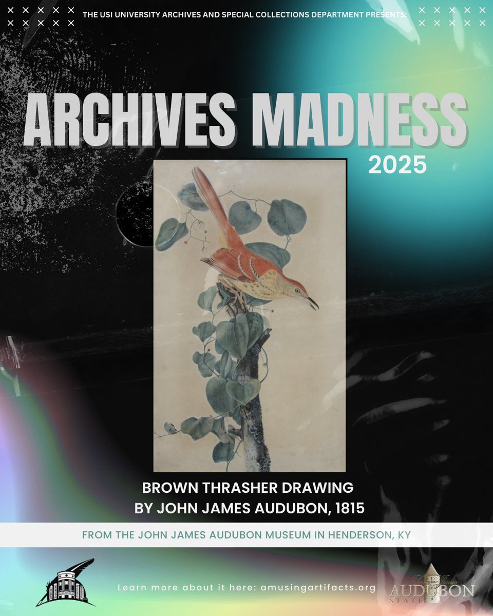 RiceLib's tweet image. Archives Madness 😮

From the John Audubon Museum in Henderson, KY 

- Brown Thrasher Drawing by John James Audubon, 1815

- Lucy Audubon's Cross Pendant