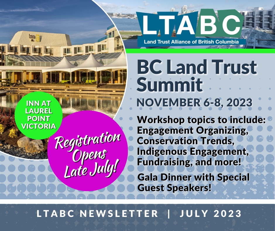 LTABC March 2025 e-news - mailchi.mp/c47af3d0d636/l…