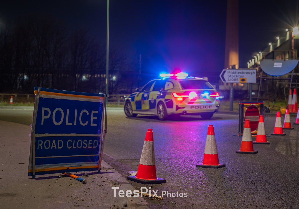 TeesPix.Photos tweet media