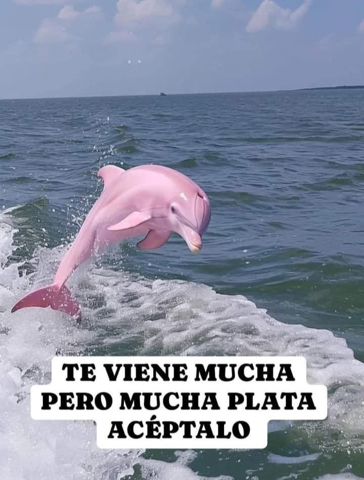 Así como trates está imagen, te irá el resto de tu vida.