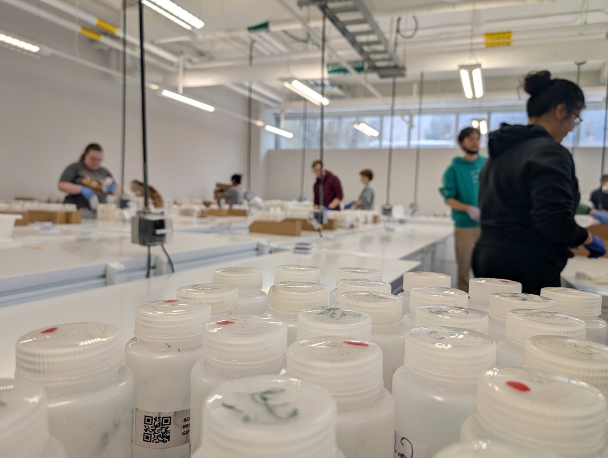 Centre for Biodiversity Genomics (CBG) tweet media