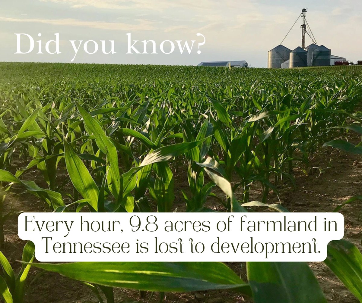 Did you know?
For more information, visit tnfarmbureau.org/policy-post-ja….
#farmlandpreservation