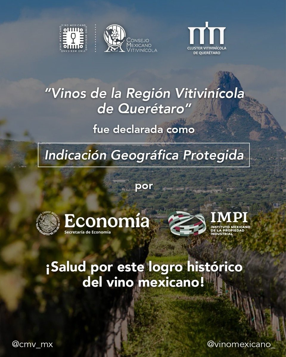 Enhorabuena! La primera IGP de vino mexicano!