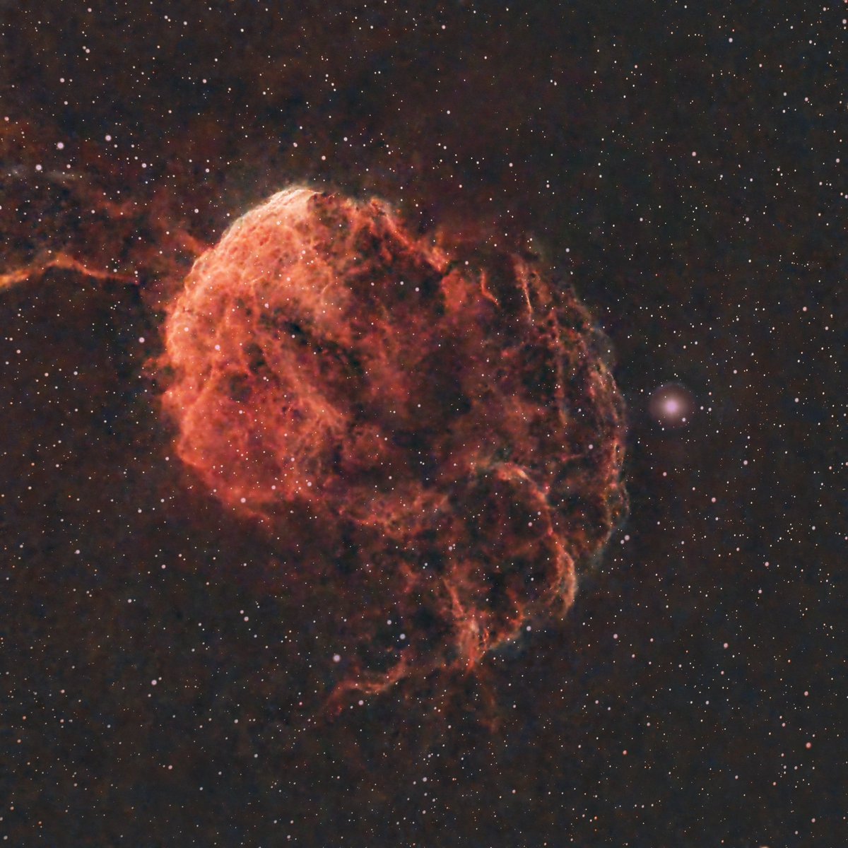 The Jellyfish Nebula in Gemini, imaged from my back garden in NE London 🪼
#astrophotography