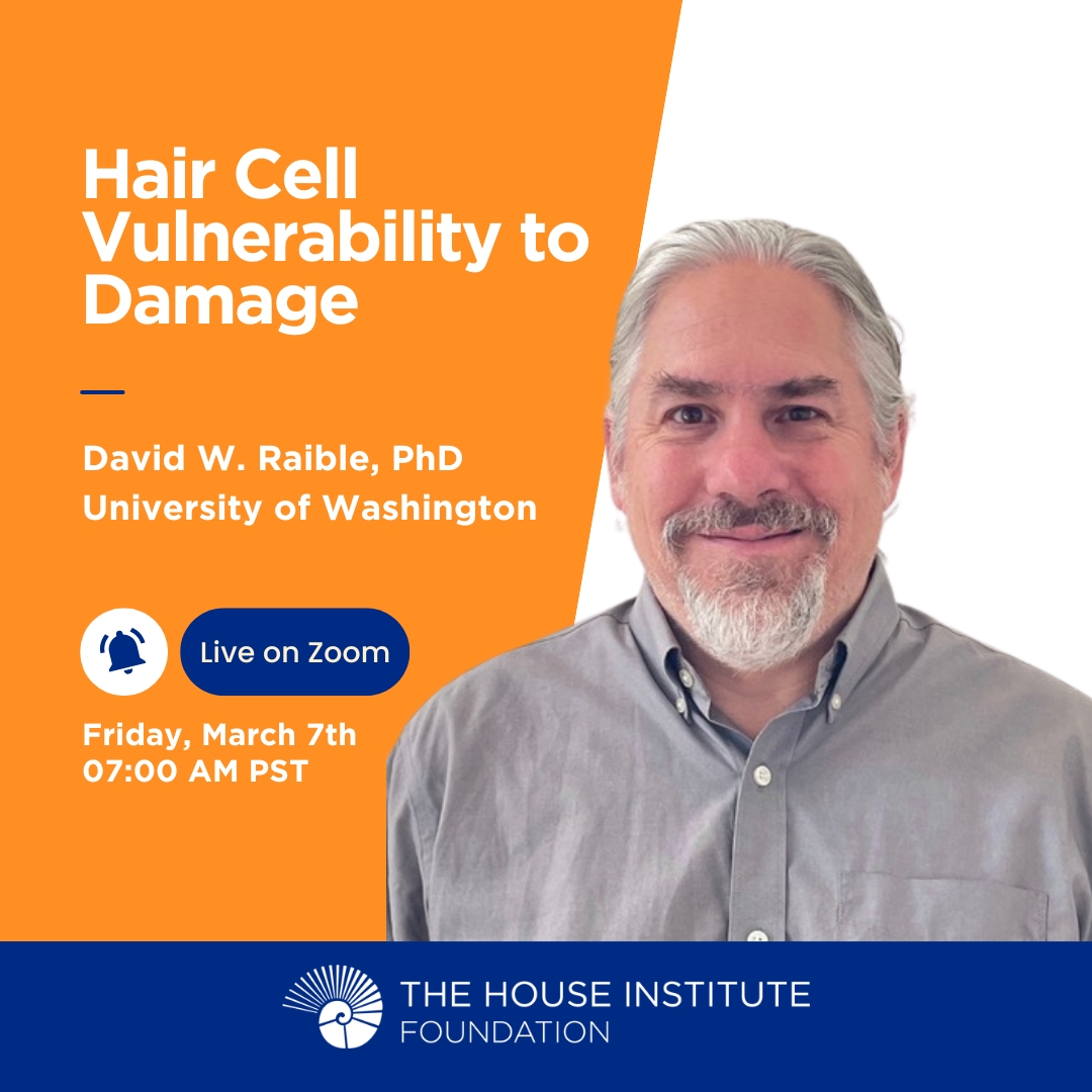 Grand Rounds: Join us for an insightful presentation on "Hair Cell Vulnerability to Damage" by David W. Raible, PhD from the University of Washington. Tune in on March 7th at 7:00 AM!  Click the link in the bio to join.
