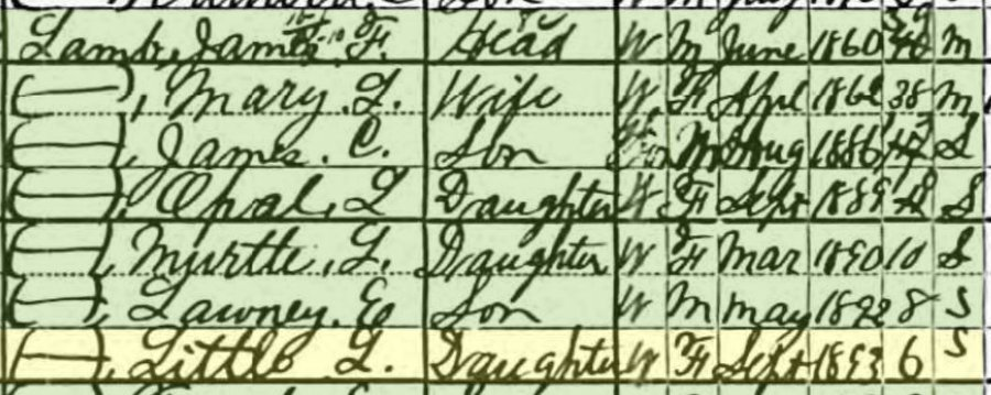 In which we learn that Mary Lamb named her youngest child "Little," just to troll future genealogists. (1900 census)