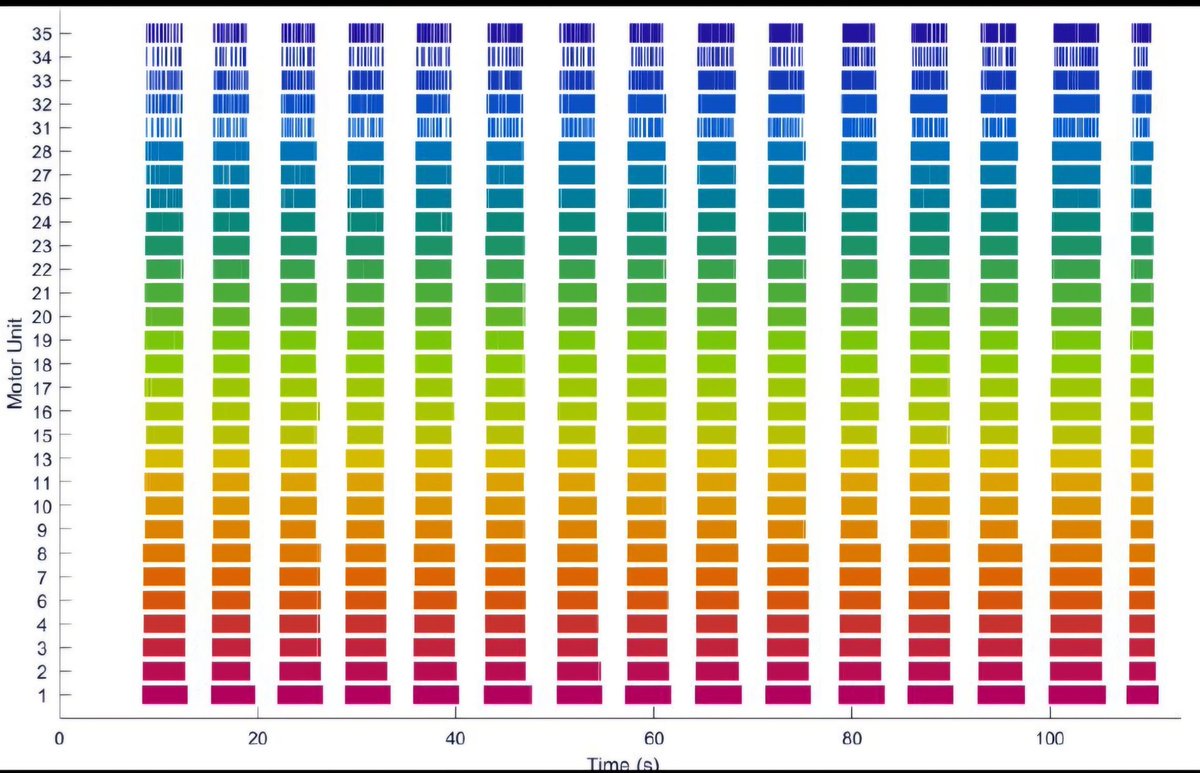 MuscleMechsLab's tweet image. Really enjoying using the @delsysinc Galileo sensors with NeuroMap software to decompose motor units. Here are 36 beautiful MUs from the vastus lateralis along with MUFRs for 3secs on  3secs off isos to failure. 🤩🤌 #motorunitrecruitment #EMG #Muscle @amy_robinson2