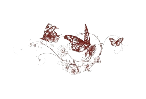 ✦ 𝒌iyoomi. (@starrchqser) on Twitter photo 