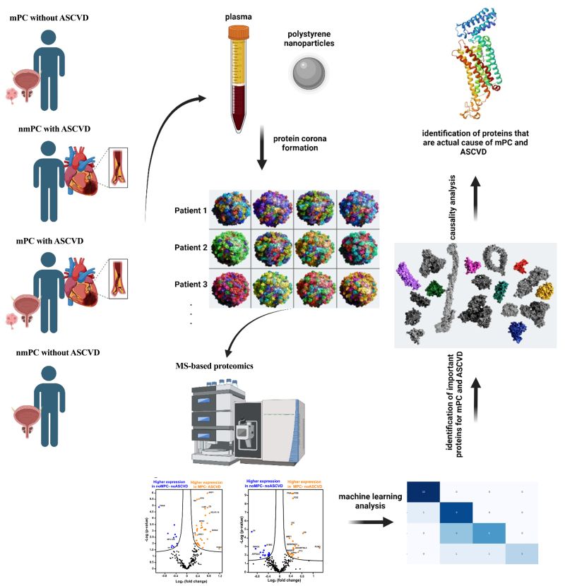 MahmoudiLab (@mahmoudilab) on Twitter photo #AI and #actual #causality analysis of #protein #corona indicate two potential #biomarkers in #cardiooncology: #CCT7 (Chaperonin Containing TCP1 Subunit 7) and #TBXAS1 (Thromboxane-A Synthase 1)
sciencedirect.com/science/articl…
<a href="/Chem_Eng_J/">Chemical Engineering Journal</a> <a href="/MoriMahmoudi/">Morteza Mahmoudi, PhD</a> #AI and #actual #causality analysis of #protein #corona indicate two potential #biomarkers in #cardiooncology: #CCT7 (Chaperonin Containing TCP1 Subunit 7) and #TBXAS1 (Thromboxane-A Synthase 1)
sciencedirect.com/science/articl…
<a href="/Chem_Eng_J/">Chemical Engineering Journal</a> <a href="/MoriMahmoudi/">Morteza Mahmoudi, PhD</a>