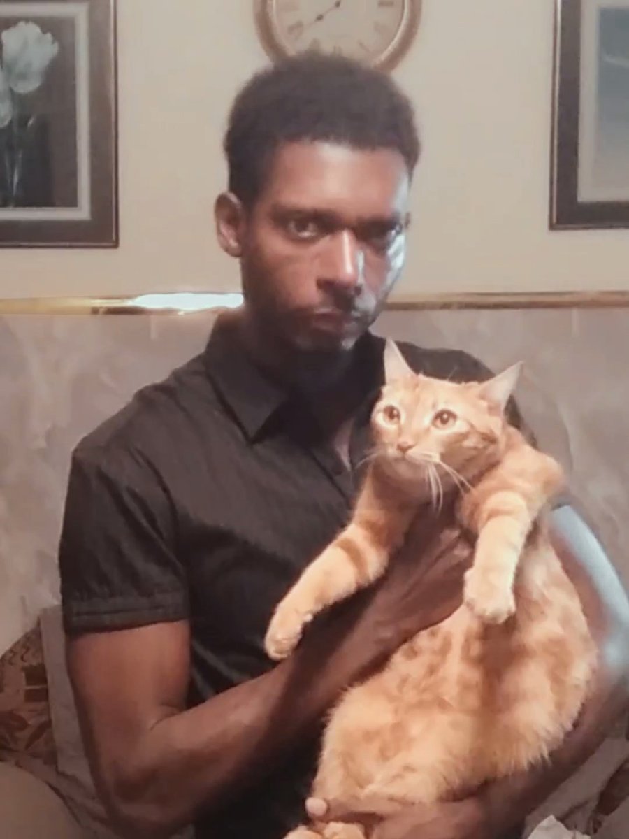 Have a great and successful 2025, everyone! ✨ 🙏 😺
I hope you're all doing well.

▶️ similarworlds.com/Andrew/photo?p… 📹