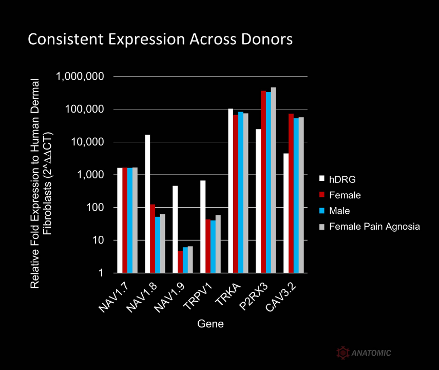 AnatomicTech's tweet image. 🧒🏻👧🏽👦🏼👩🏽‍🦱Multiple donors. Same process. Sensory neurons derived from hiPSC lines (both healthy and diseased) express key ion channel targets for pain - NaV1.7, NaV1.8, and TRPV1
#NotYourAverageNeuron #CompleteTheCircuit #DiseaseModeling #PainResearch
