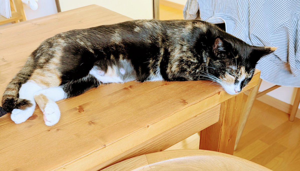 お金に余裕のある人は、仕事が忙しくてお世話が出来ないからペットが飼えない。
反対にペットのお世話をする時間はあるけど、金銭的に厳しい人がいる。