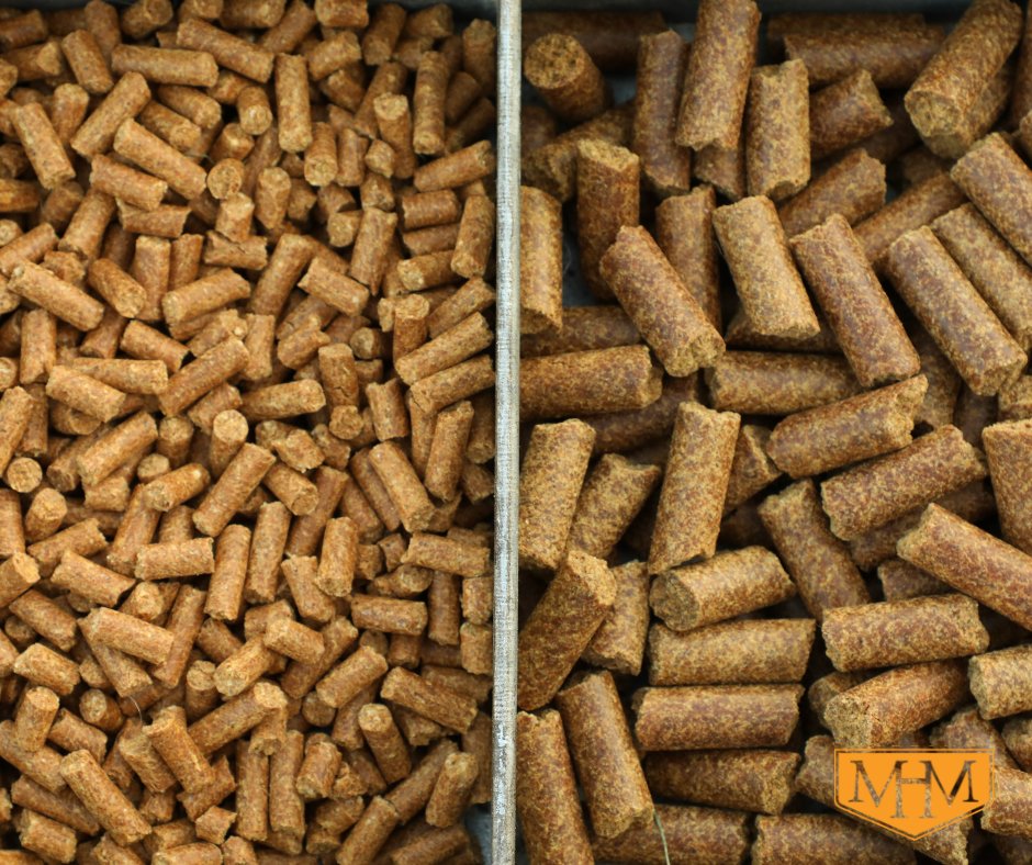MH_Milling's tweet photo. Better digestion, better gains! Our extruded DDG cubes break down fats &amp; proteins for higher absorption while promoting slower eating &amp; fewer digestive issues.

#masterhandmilling #bycattlemenforcattlemen #revolutionizetherange #ddgcubes #rangecubes #cattlefeed #cattlefeeders https://t.co/e4lvC1PTQN