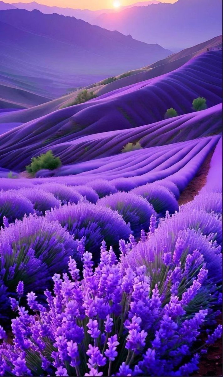 Happy Wednesday to all friends, with lots of happiness! 🌹🌻🌷🍃🍁🩵🩷💫 #beautiful
#FantasyArt #art #AI #digitalart #aiart #environmentart
#NatureIsBeautiful #GoodVibes #blessed