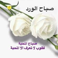 رامي الربيعي tweet media