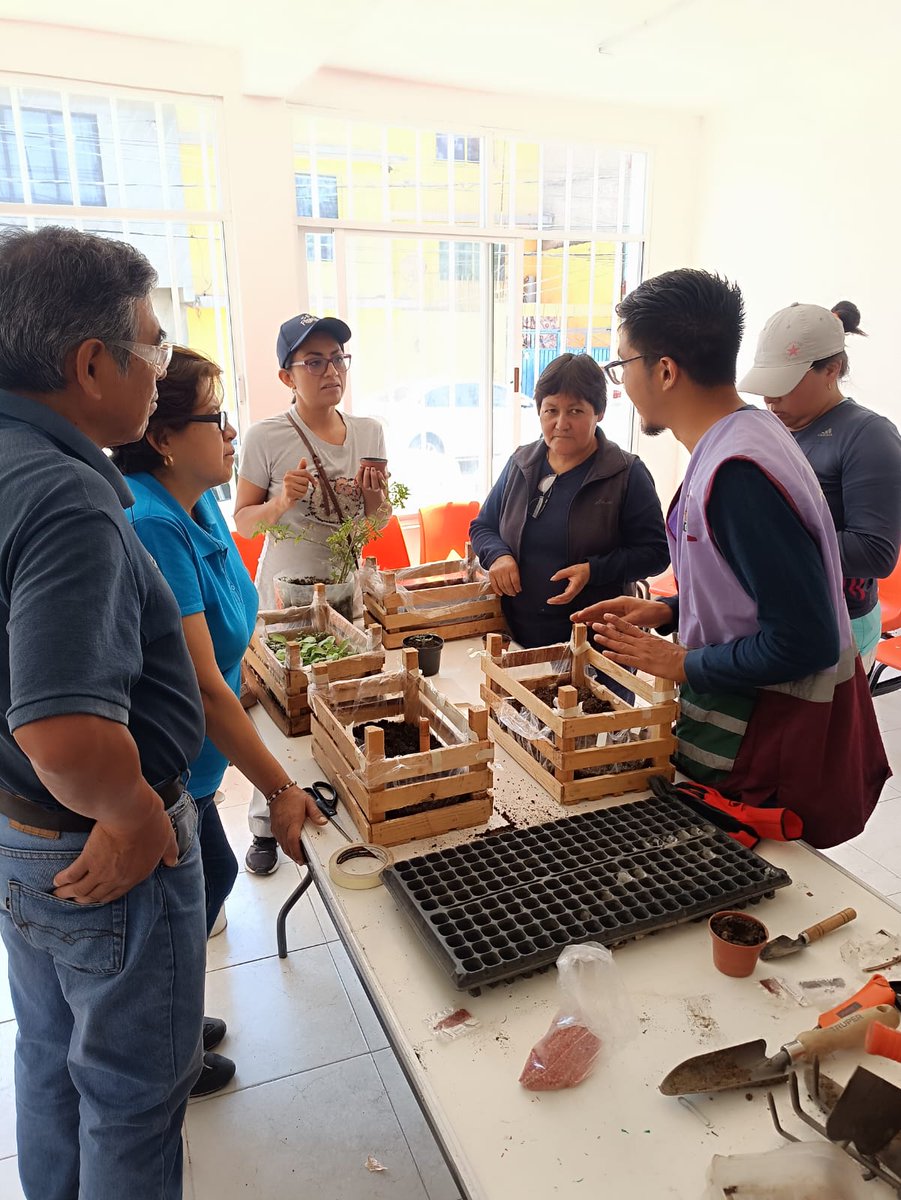 neza_dif's tweet photo. El día de hoy, llevamos a cabo una plática sobre #HuertosUrbanos 🌱 en el COMF, en la Zona Norte de Neza.

Los asistentes aprendieron a sembrar rábano y cilantro en huacales de madera y recibieron paquetes de semillas para seguir cultivando en casa. 🥕🥬 

#DIFNeza 💜 #HortaDIF🍅 https://t.co/5ji8rhtEYM