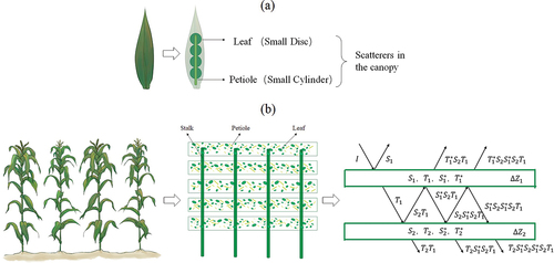 📡 How #Vegetation Affects Microwave Soil Emissions 🌱➡️📶

We analyze the channel dependence of vegetation effects on microwave emissions using the Tor Vergata model &amp; field data from #SMELR. 🌽 Key findings:

✅ VOD varies more in vertical polarization with incidence angles
✅