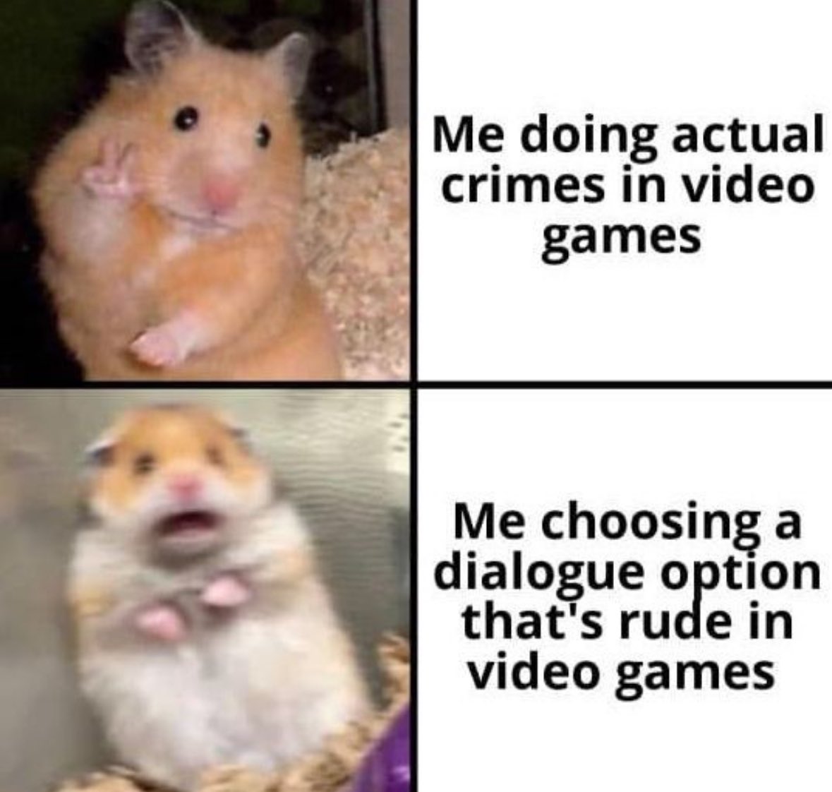 Respectful Memes tweet media