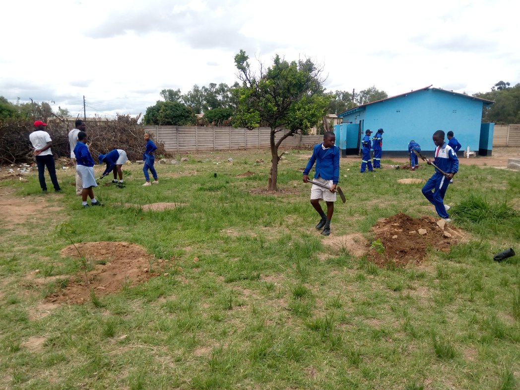 TreeKnowers's tweet image. # school 5 to 10
175 #indigenous  #trees were planted yesterday at 6 different schools in Highfied and Glenorah suburbs. As usually, children were the stars of the show . Only 5 more schools left to go!

#CatchThemYoung 
#treeknowesandgrowers