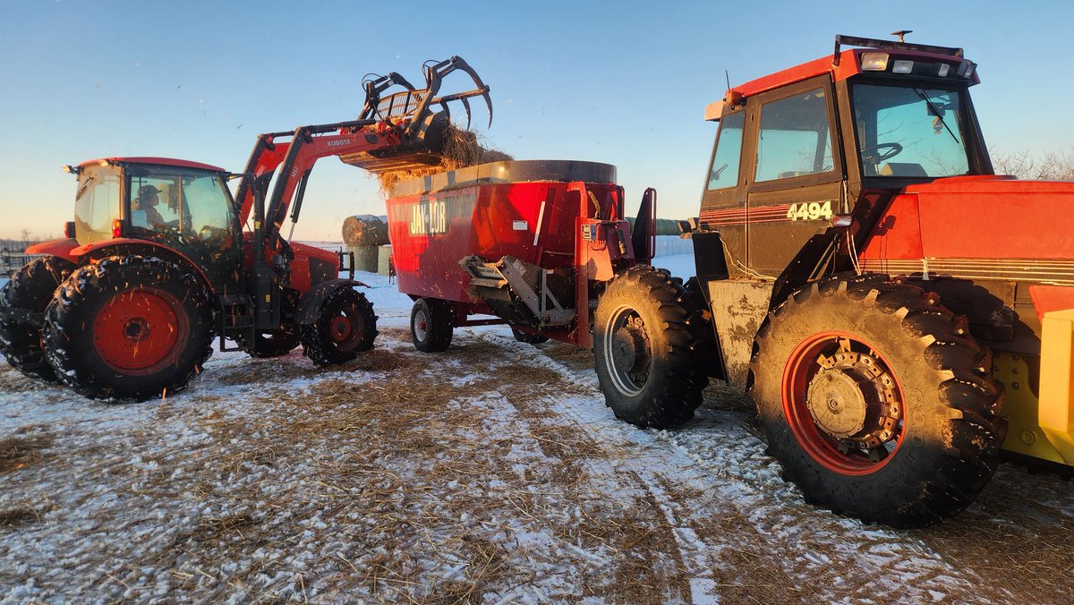 Cody Bowie tweet media