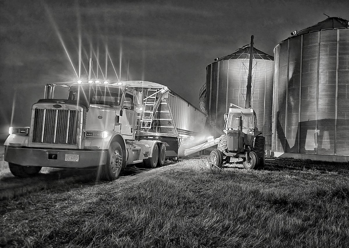 Cody Bowie tweet media