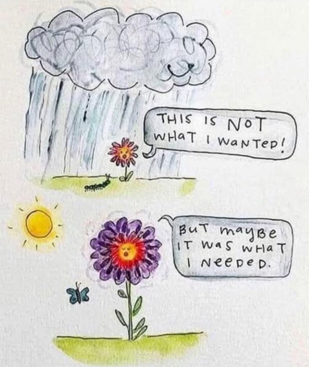 maximumpain333's tweet image. 