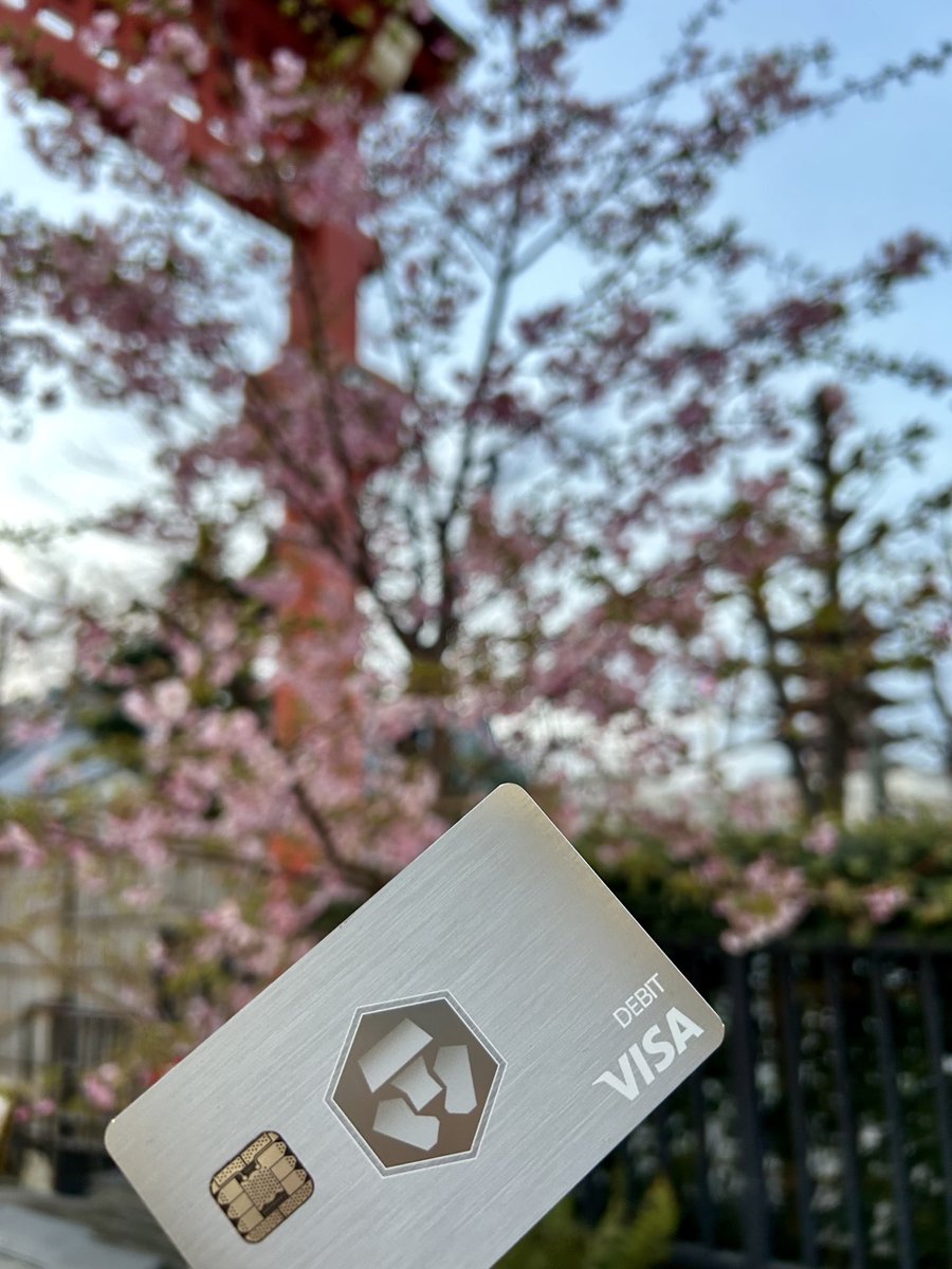 Staying Icy during sakura season. 📸: @Cryptorockstar4