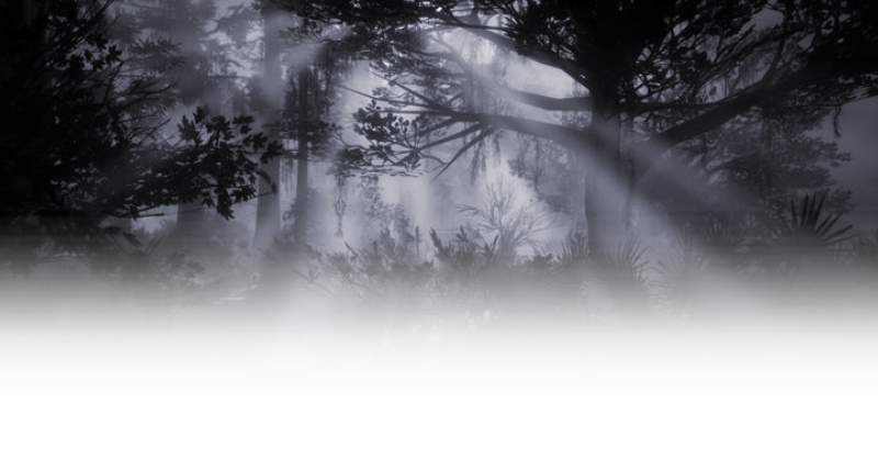 ⠀
⠀⠀⠀⠀⠀⠀⠀⠀⠀  𝓚yoka⠀𝓙.⠀(⠀𝓙iro⠀)
⠀⠀⠀⠀⠀⠀⠀⠀  ͏ ͏ ͏ ͏ ͏ 𝗀𝗎𝗂𝗍𝖺𝗋𝗂𝗌𝗍  nd 𝗏𝗈𝖼𝖺𝗅
⠀⠀
⠀⠀⠀⠀ ⠀ 23⠀(  ？)⠀years⠀old⠀   𓂃  ⠀jiro.
⠀⠀⠀⠀ ⠀ ( t )  male⠀     𓄼⠀ ⠀ he⠀    . ⠀   him.

⠀⠀⠀⠀⠀⠀⠀⠀⠀⠀   ⠀𓂃⠀𓆩♡𓆪⠀𓂃
⠀