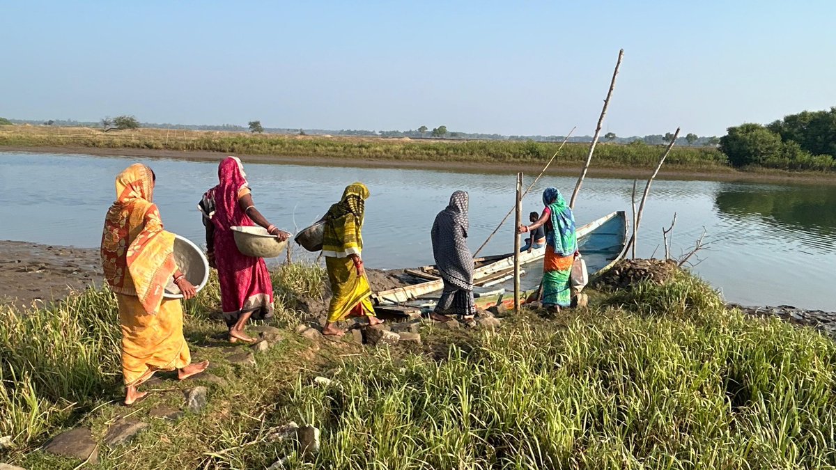Our Mangroves Are Taking Root.🌊

Our dedicated Last-mile community in odisha is stepping up to protect mangroves they’ve planted 22,500 Saplings, while growing more 45,000 for the coming season in Devi River Mouth. <a href="/anandmahindra/">anand mahindra</a> Sir kindly support our voluntary initiative.🙏