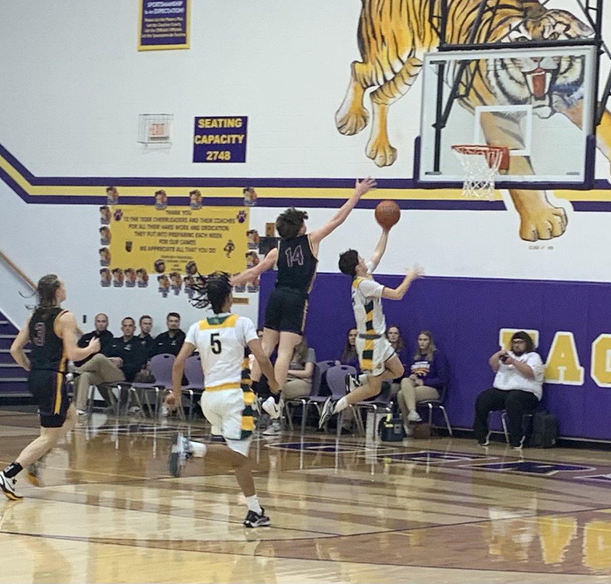 Sectional Game 
End of 3rd Quarter

Knights - 37
Tigers - 23