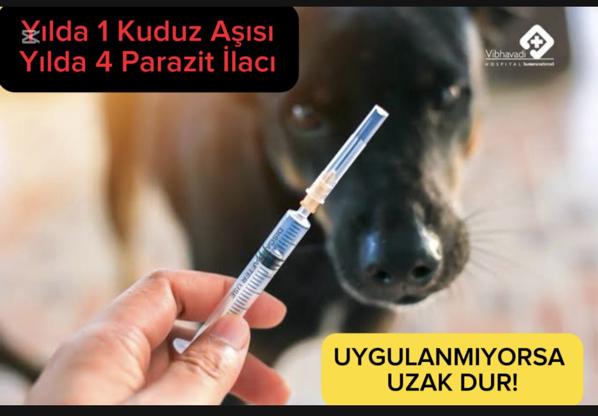 Sokağınızda yaşayan başıboş hayvanların tümüne; 
✅Yılda 1 kez #kuduz aşısı, 
✅Yılda 4 defa iç-dış #parazit ilacı uygulanmıyorsa, uzak durmanız gerekir. Kuduz, bit, pire, kene, solucan, tenya, kist hidatik, leptospiroz bulaşma riski olabilir. 

#sokaktabaşıboşolmaz